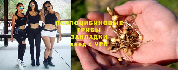 кокаин премиум Алексин